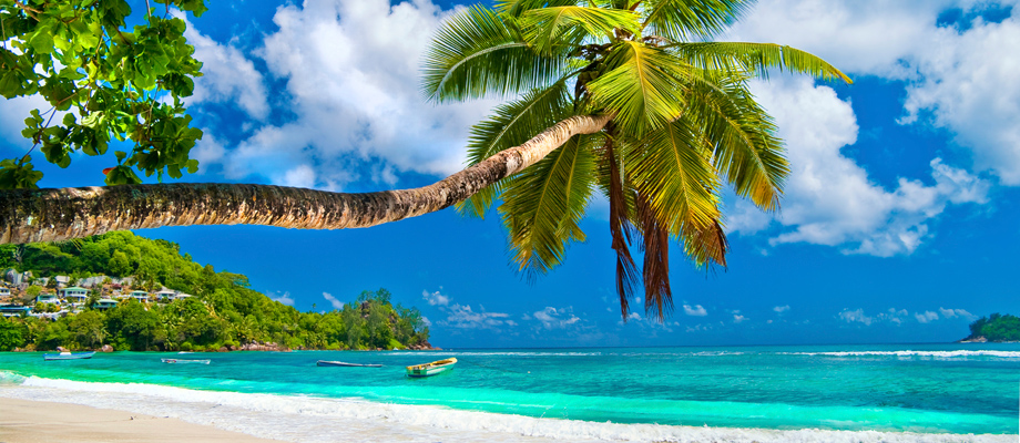luxury yacht charter beach caribbean bahamas holiday luxury yacht charter beach caribbean bahamas holiday